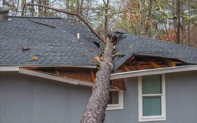 The Best Roofing Materials Near me in OH, KY & WV