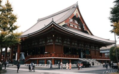 Expert Advice on How to Make Your Roof Last: Affordable Roofing Maintenance Tips