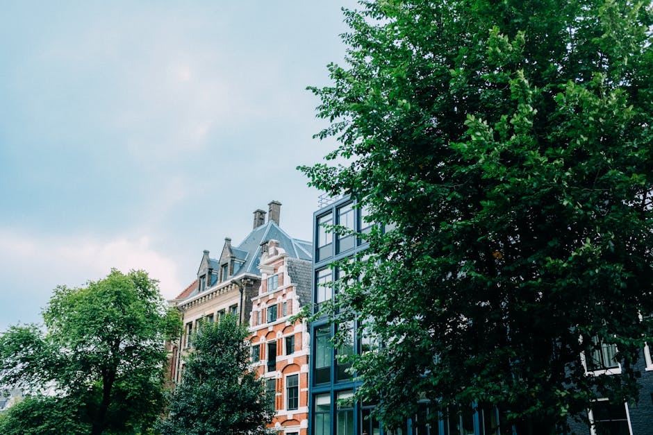 The Benefits of Choosing New Construction Roofing for Your Next Project